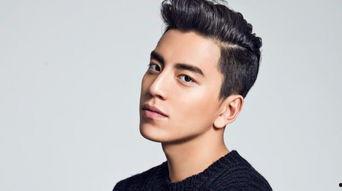 吃瓜爆料王大陆租酒店,明星隐私与公众好奇心的碰撞