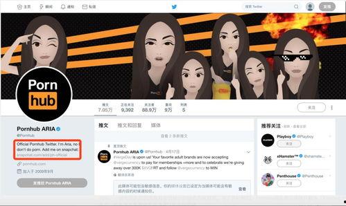 啪啪网站视频,揭秘啪啪网站热门视频背后的故事