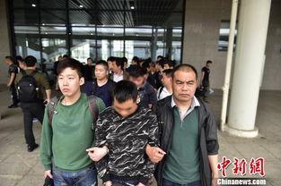 特黄视频,一场视觉与心理的双重冲击