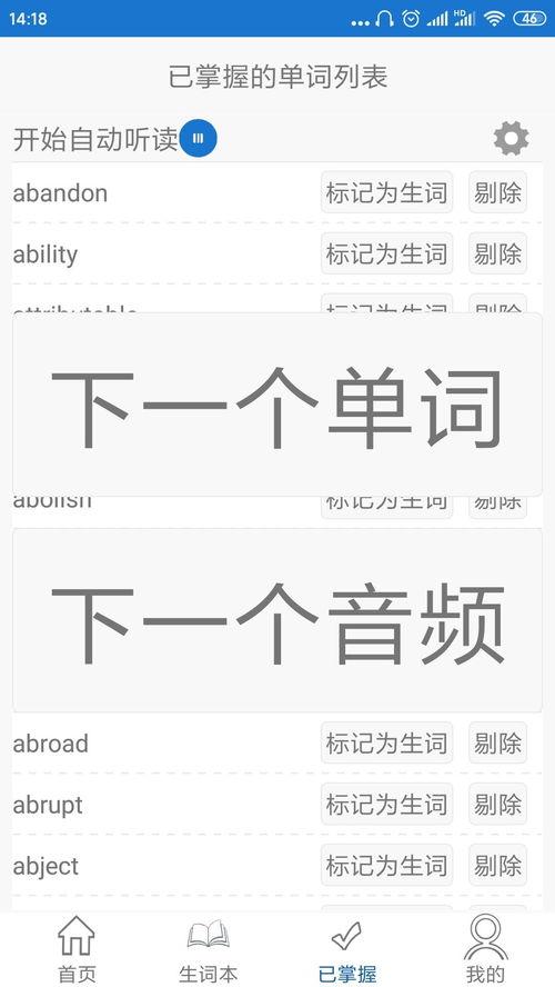 视频单词,探索视频中的奇妙单词世界