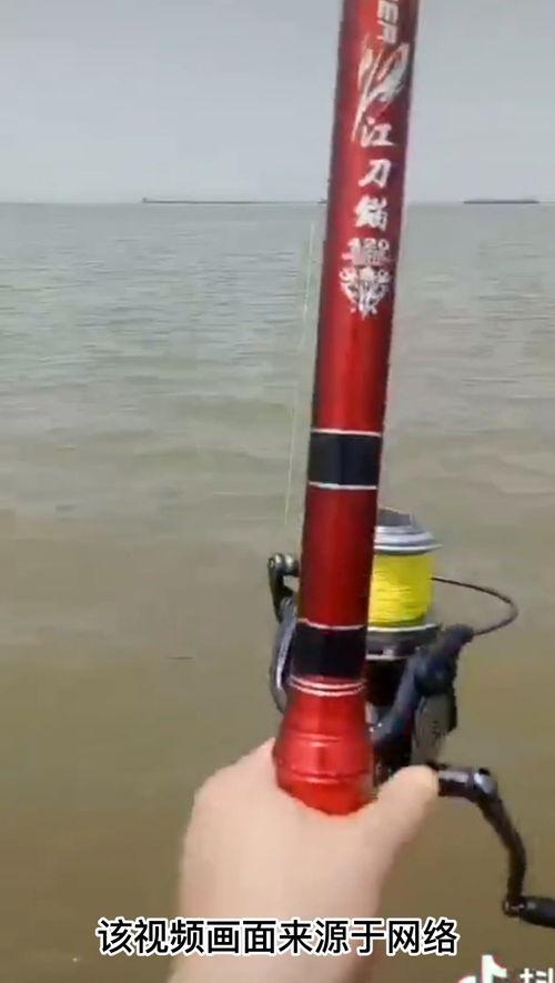 锚鱼视频,揭秘海洋捕鱼新潮流