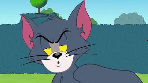 猫动画视频,动画猫咪的奇幻冒险之旅