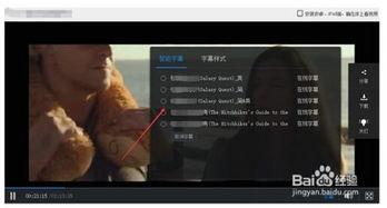 视频中文字幕,文字与影像的完美融合