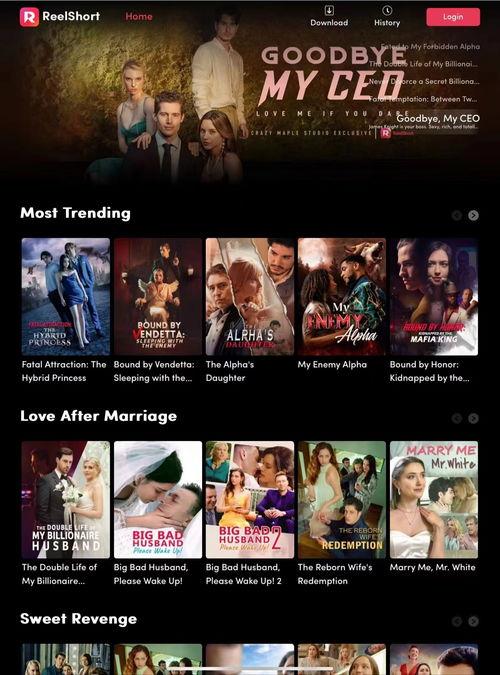 视频中文字幕,文字与影像的完美融合