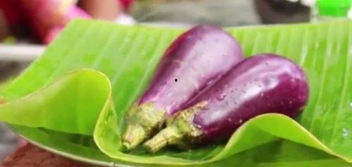 茄子视频污,揭秘网络短视频的“污”现象