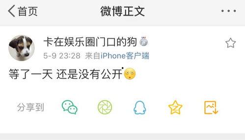 吃瓜爆料今日专区,吃瓜爆料今日专区热点事件大盘点