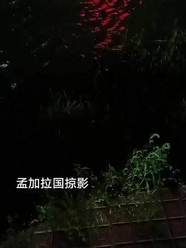 夜色小视频,光影交织下的都市风情