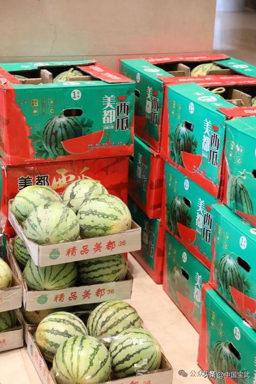 鹤壁吃瓜最新事件爆料,揭秘背后惊人真相，网络热议持续升温