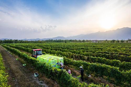 国产3p视频,揭秘激情背后的故事与争议