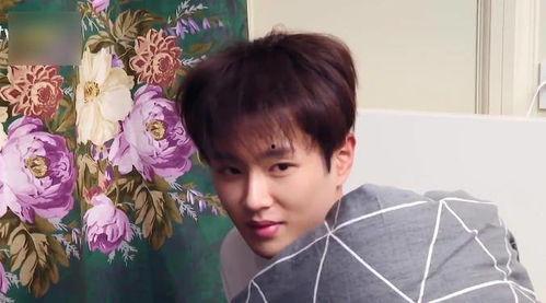 范丞丞奔跑吧吃瓜爆料视频,吃瓜爆料背后的真相大起底