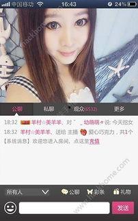 欧美视频直播网站,揭秘热门平台背后的精彩故事