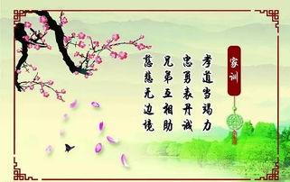 家风家训演讲视频