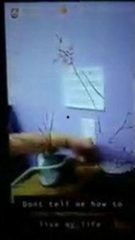 压舌板催吐视频