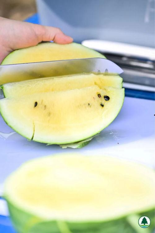 吃瓜今日吃瓜热门吃瓜,吃瓜群众聚焦最新吃瓜事件