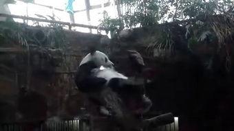 挠帅哥脚心视频,揭秘挠帅哥脚心视频的幕后故事