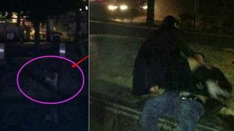 男女裸视频,隐私边界与网络伦理的碰撞