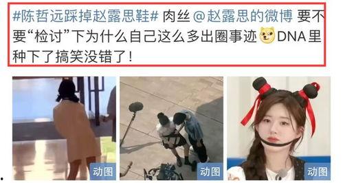 赵露思陈哲远今日瓜,甜蜜恋情曝光，粉丝直呼太幸福