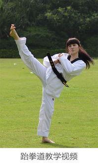 跆拳道教学视频,掌握实战技巧与礼仪规范