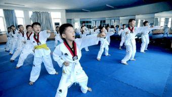 跆拳道教学视频,掌握实战技巧与礼仪规范