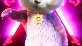 小猫跳舞视频,小猫欢快跳舞，萌态十足引网友爆笑