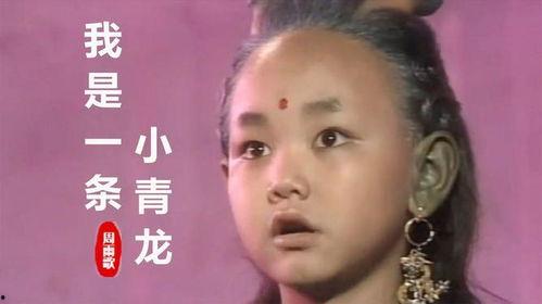 小青龙视频,探寻神秘生物的奇幻之旅