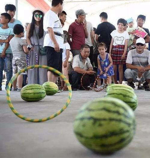 今日份欢乐吃瓜,欢乐吃瓜，笑料连连