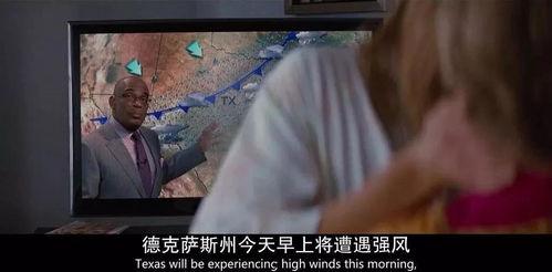 成人精品视频,深度解析内容与价值