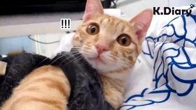 逗奶视频,萌娃奶爸欢乐日常，温馨瞬间尽收眼底