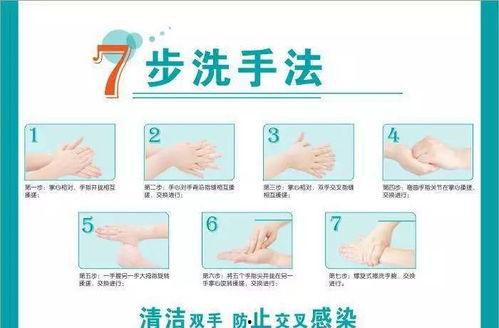 七步洗手法视频,守护健康，从手卫生做起