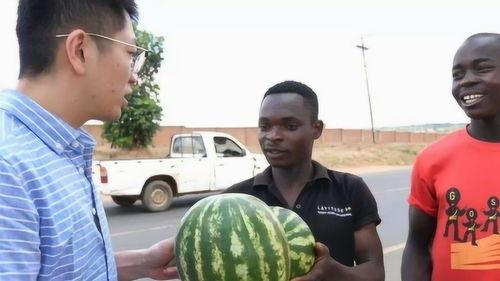 网红吃瓜黑历史是真的吗知乎,真相还是谣言？