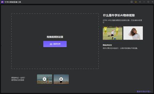 pr导出透明背景视频,轻松实现视觉创意的完美呈现