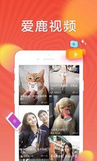 爱  视频,探索爱视视频的魅力世界