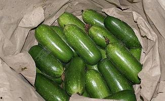 海南今日毛瓜价格表图片,海南今日毛瓜价格行情一览