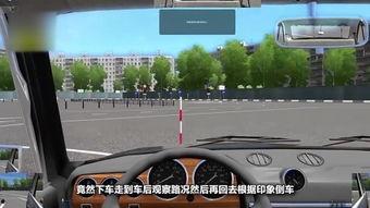 b2科目二考试视频完整版,全方位解析驾考技巧与注意事项