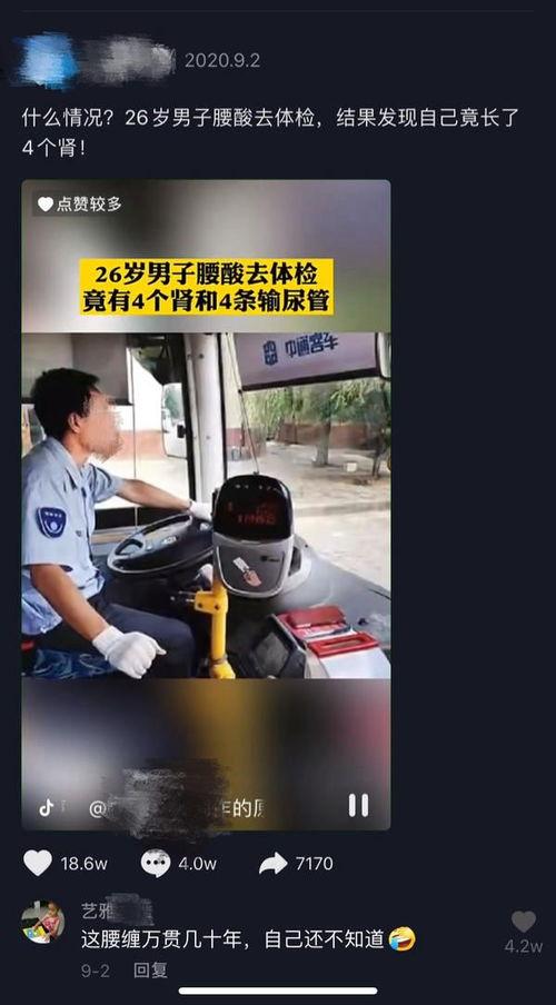 无马赛克视频,高清画面背后的故事