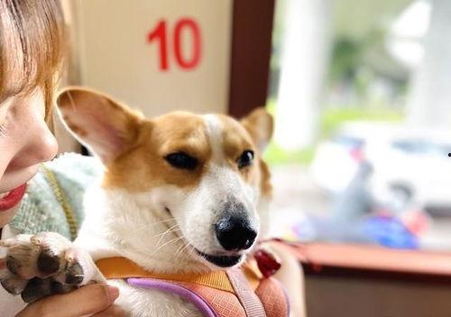 卷毛吃瓜视频爆料