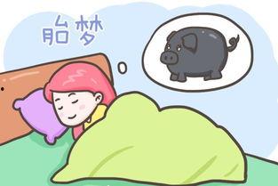 孕妇梦见吃黑瓜是胎梦吗,孕妇梦见吃黑瓜的寓意与象征