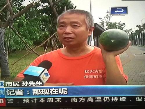 今日吃瓜群众吃瓜事件,吃瓜群众热议的惊天瓜皮事件