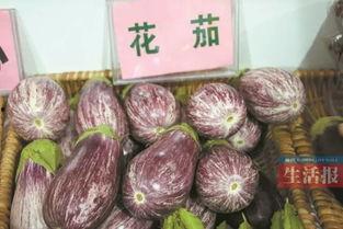 广西茄瓜今日收购价格表,行情稳中向好