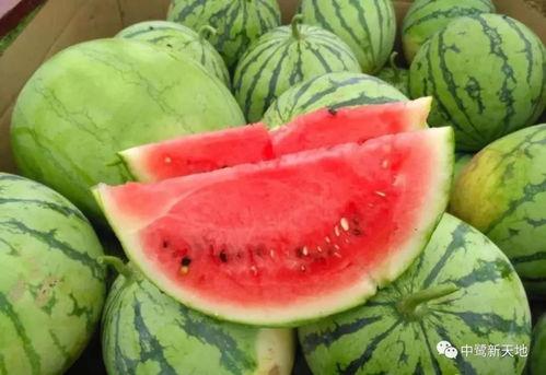 今日最火的瓜图片,揭秘最火瓜图片背后的惊人真相！