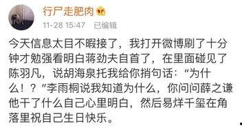 今日宜吃瓜全文完结,揭秘真相，尘埃落定