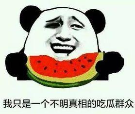 今日宜吃瓜全文完结,揭秘真相，尘埃落定