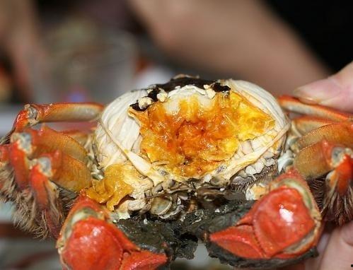 吃螃蟹可以吃黑密瓜吗,美味搭配的饮食探索
