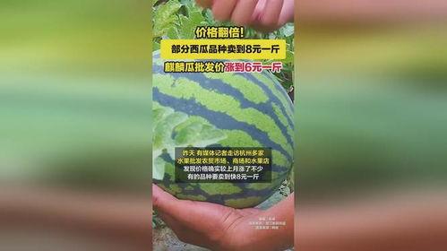 麒麟瓜价格今日行情,涨跌波动，市场动态一览