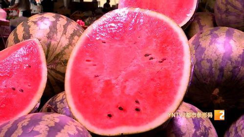 麒麟瓜价格今日行情,涨跌波动，市场动态一览