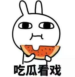 爆料中国吃瓜图片搞笑视频,搞笑视频里的欢乐时光