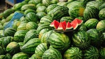 五一吃瓜每日必吃今日分享,每日必吃，今日分享精选