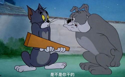 吃瓜爆料的汤姆是谁啊图片,吃瓜爆料中的神秘人物汤姆究竟是谁？