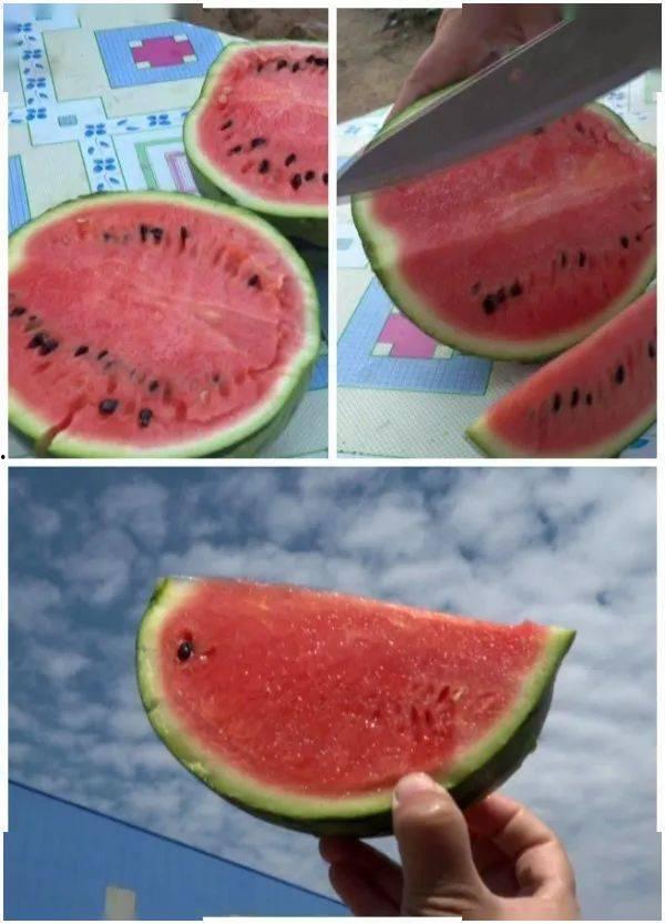 漯河吊瓜今日价格表,市场行情一览