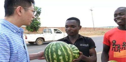 黑瓜吃瓜在线观看